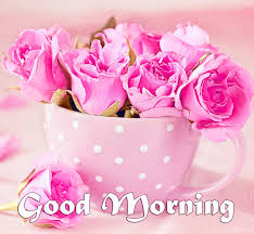 Flower good morning photo images pictures pics free download. Indian Tea Good Morning Image Pix Trends
