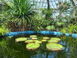 Check spelling or type a new query. The Alexandru Borza Botanical Garden Park Outdooractive Com