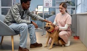 How to Educate Clients on the Value of Preventive Care | IDEXX Software