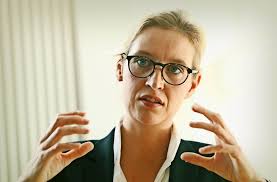 Ein innenminister muss handeln und nicht warnen. Afd Politikerin Alice Weidel Wir Wollen Drittstarkste Kraft Werden Politik Stuttgarter Zeitung