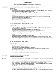 Work experience, education and relevant skills for an auditor are provided for this printable cv on a4 paper. Audit Professional Resume Samples Velvet Jobs