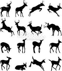 Check spelling or type a new query. Buck Silhouette Buck Silhouette Animal Silhouette Silhouette Art