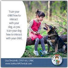 Train Your Child As You Train Your Dog So Much Petential