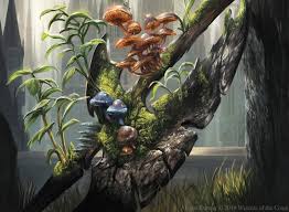 Following to young boy running on green grass at the field on sunny day. Mtgnexus Return To Nature Art By Alayna Danner