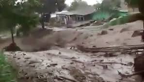 Saat dihubungi terpisah kasi kedaruratan bpbd kabupaten bogor, adam membenarkan, bahwa saat ini anggota dari bpbd juga. Fzuyowgb54tjkm