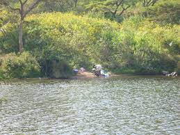 May Day 25: The Day that Nearly Beat Me AND The Tree of Light | River Walks