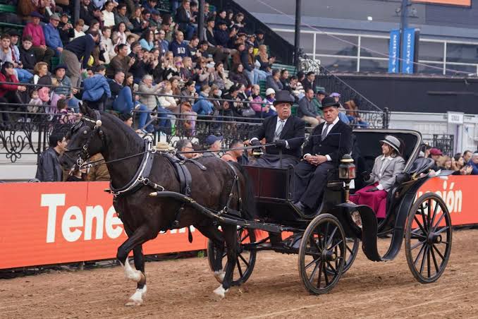 Los carruajes llegaron a la pista de Palermo: “Es mantener una tradición y el recuerdo de acompañar a mi papá al puerto a caballo”, dice el carrero José Luis Domínguez - Edición