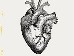 Funny Heart Beating Gif Page 1 Line 17qq Com Gifs for your viewing and sharing pleasure. funny heart beating gif page 1 line