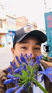 Estreno- Estrenooooo!!!!! https://youtu.be/qfB-PHekcUQ?si=11iHVu_0FyWmYKel 