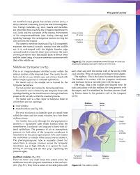 Ross And Wilson Anatomy And Physiology In Health And Illness 9th Ed A Waugh A Grant Elsev Copy Pages 201 250 Flip Pdf Download Fliphtml5 5.0 out of 5 stars ross and wilson anatomy and physiology. ross and wilson anatomy and