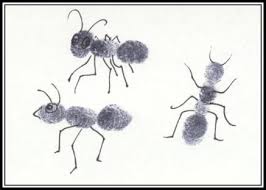 Letter Aa Ceres Childcare Preschool Ant Art Ant Crafts Thumbprint Art