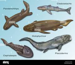 Image result for Cephalaspis