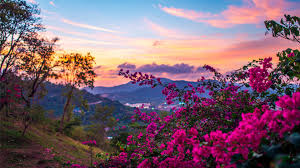 We did not find results for: Promise Of Spring Hd Desktop Background Hd Wallpapers Desktop Backgrounds Wallpaper Pics