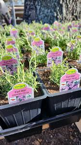 Profile for Lawrence's Garden