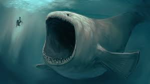 Open Ocean Is A Scary Place Album On Imgur 20 scary images that will keep you out of the ocean! open ocean is a scary place album on
