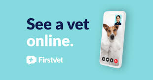You can use your carecredit credit card to help pay for everything from routine vet checkups, to emergency pet care. Your Online Vet Video Call A Qualified Uk Vet Firstvet