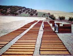 Image result for Apricot 1972 Hussmann