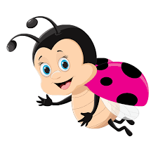 Companies offering pest control near orlando, united states. Pest Control Company Orlando Fl Lydybug Pest Control