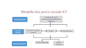 In questo video abbiamo cercato di riflettere sugli elementi essenziali del profilo di funzionamento (i concetti di capacità, performance, fattori. Https Www Icsboviocolletta Edu It Public Files Il Pei Su Base Icf Pdf