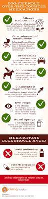 Which Over The Counter Medications Are Safe For Dogs Dog Allergies Dog Allergies Remedies Meds For Dogs