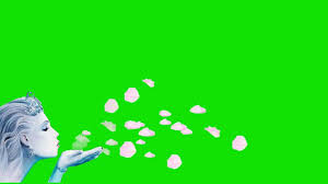 Green Screen Effects Videos Green Screen Flowers Effects Free Download Green Screen Video Backgrounds Green Background Video Free Video Background