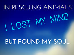 Read rescue me from the story quotes by niallismypimp (h) with 10 reads. Rescue Me Dog Quotes Quotesgram
