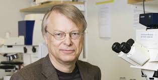 Hjärnfondens f.d. ordförande får medalj av Kungen