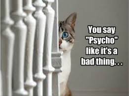 attack of the funny animals 25 pics funny animals funny animal memes animal memes