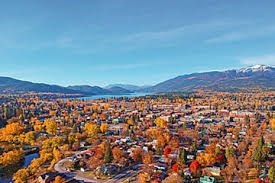 Image result for Struthiola montana