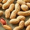 Jenis kacang apa saja yang dapat dikonsumsi ibu menyusui? 1