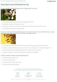 The first team to ring the bell answers the question. Honey Bees Quiz Worksheet For Kids Study Com