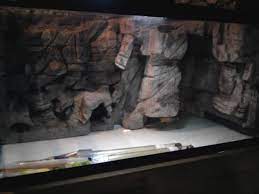 Showing Pictures For Diy Aquarium Backgrounds 3d Aquarium Backgrounds Aquarium Diy Aquarium