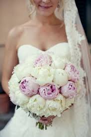 We did not find results for: Significato Dei Fiori Per Il Matrimonio Giftsitter