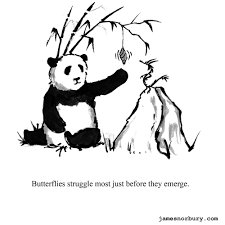 Big Panda And Tiny Dragon Comics With Fresh Perspectives Tiny Dragon Big Panda Little Dragon