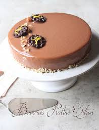 Bavarois Praline Maison Cremeux Citron Praline Maison Gateaux D Anniversaire Au Citron Dacquoise Noisette