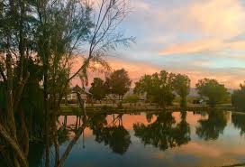 A total of nine campgrounds are available in joshua tree national park. Fishing Joshua Tree Lake Rv And Campground