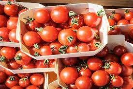 Per prima cosa selezioniamo i pomodori, puntando a quelli sodi e privi di difetti. Come Congelare I Pomodori Per L Inverno Nel Congelatore Freschi Di Casa Le Ricette