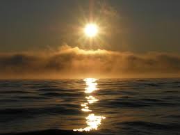 Image result for the sun in the sky