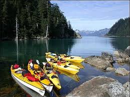 We did not find results for: View From Shore Bear Glacier Lake Bear Glacier Wilderness Retreat Picture Of Backcountry Safaris Seward Tripadvisor