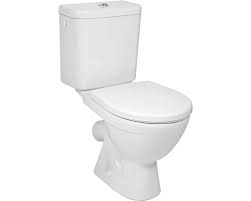 Wc Kombi Jika Lyra Plus H8263840002413 V Eshopu Hornbach Cz Lyra Dobro Toilet