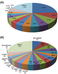 Functional Annotation Of Predicted Targets Of Chickpea