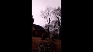 Arborists at aspen tree experts, inc. Affordable Tree Service Jackson Tn Tree Removal Youtube