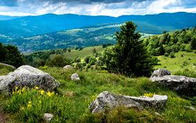 Vosges Campings Quand La Nature Rejoint Le Confort