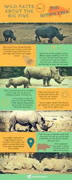 Facts Rhinos Infographic Animal Facts For Kids Rhino Facts Rhinoceros