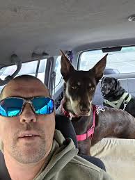 Little Miss Leia (Ruby of the gem litter) makes new friends where ever she  goes. We stopped for a treat at the Mudbay and met a 4 month old. They  played for