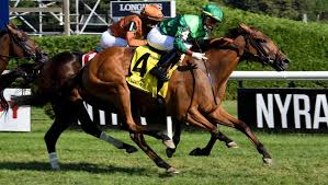 Rather, the first belmont was a race horse that arrived in california in 1853 from his breeding grounds of franklin, ohio. Qhd4sa2rrx9tdm