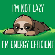 Pin By Ana Julia On Fibro What Fibromyalgia Cute Animal Quotes Cute Baby Sloths Cute Puns