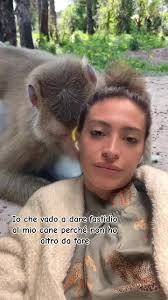 #duetto con @Smart MonKey💖 #thucung🔔 #barbaradogtrainer #cani  #funnyvideos #scimmia #dogs