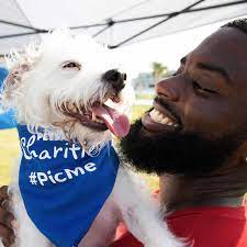 Looking for dog or cat adoption in phoenix, arizona? Pet Adoption Events Petsmart Charities