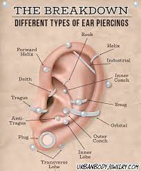 Types Of Piercings Types Of Ear Piercings Ear Piercings Chart Ear Piercing Diagram